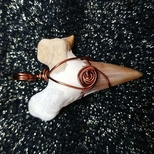 Shark tooth wrapped in non tarnish vintage copper colored copper wire